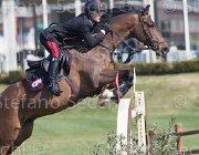 Bologni F Trifoglio TosTour2013- S5 2545 : Arezzo, Arezzo Equestrian Centre, Bologni Filippo, Toscana Tour 2013, Trifoglio di San Calogero, foto di Stefano Secchi ©